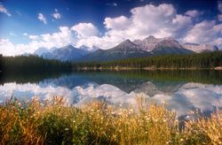 reportaje Canada - título: Parques Nacionales de Las Rocosas
