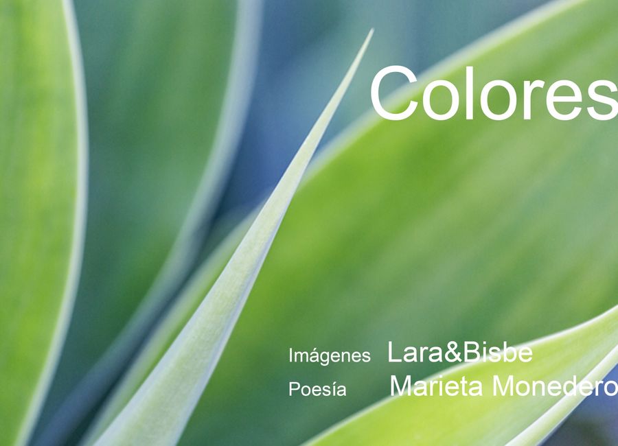 Colores