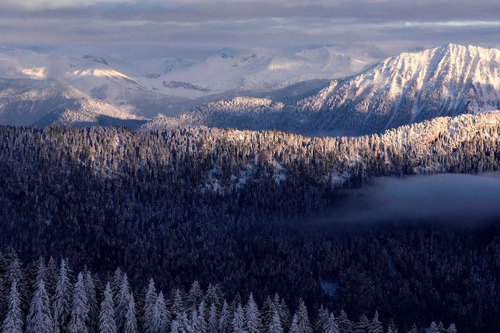 Colinas en invierno, Alpes.