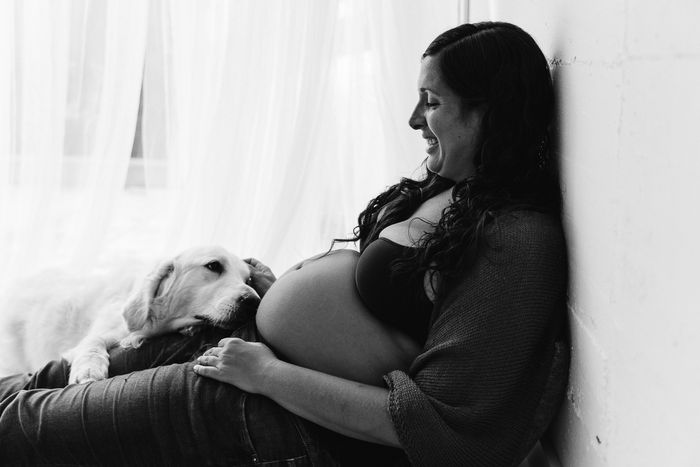 Fotografía embarazo con perro -estudio en Barcelona-Mireia Navarro Fotografía