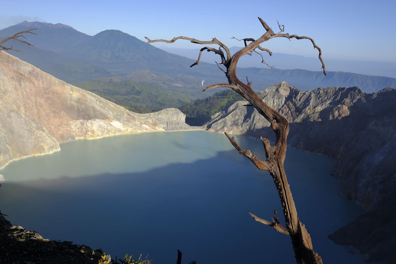 Views of the crater lake of the Ijen volcano and other volcanic cones around, with a branch of the Cantigi Ungu plant { Vaccinium Varingifolium }