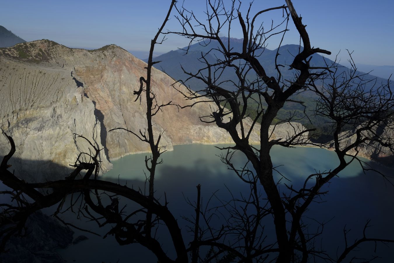 Views through the branches of a Cantigi Ungu tree { Vaccinium Varingifolium } of the lake in the crater of Ijen volcano and other volcanic cones around