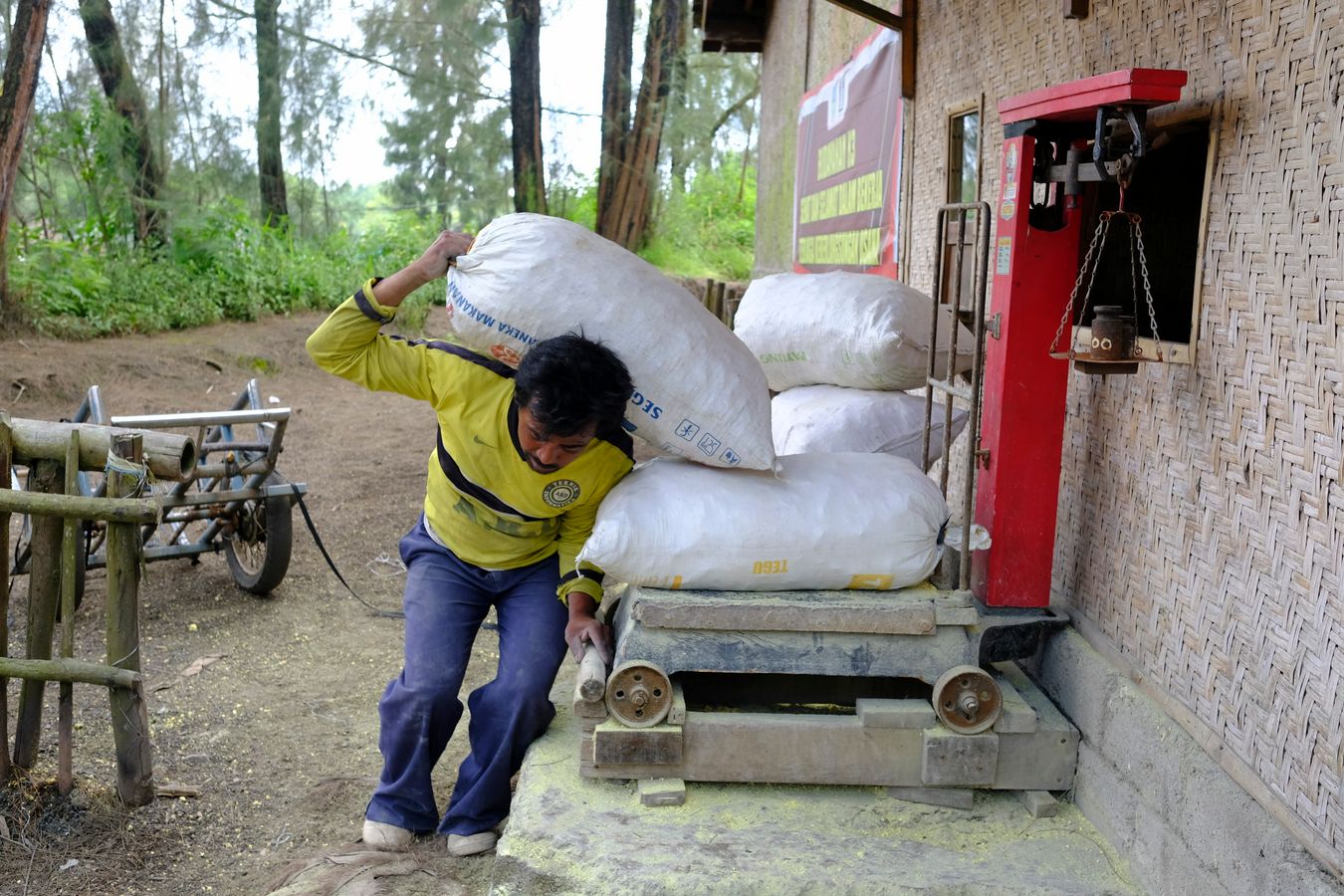 Miner removes already weighed bags of sulfur from scales