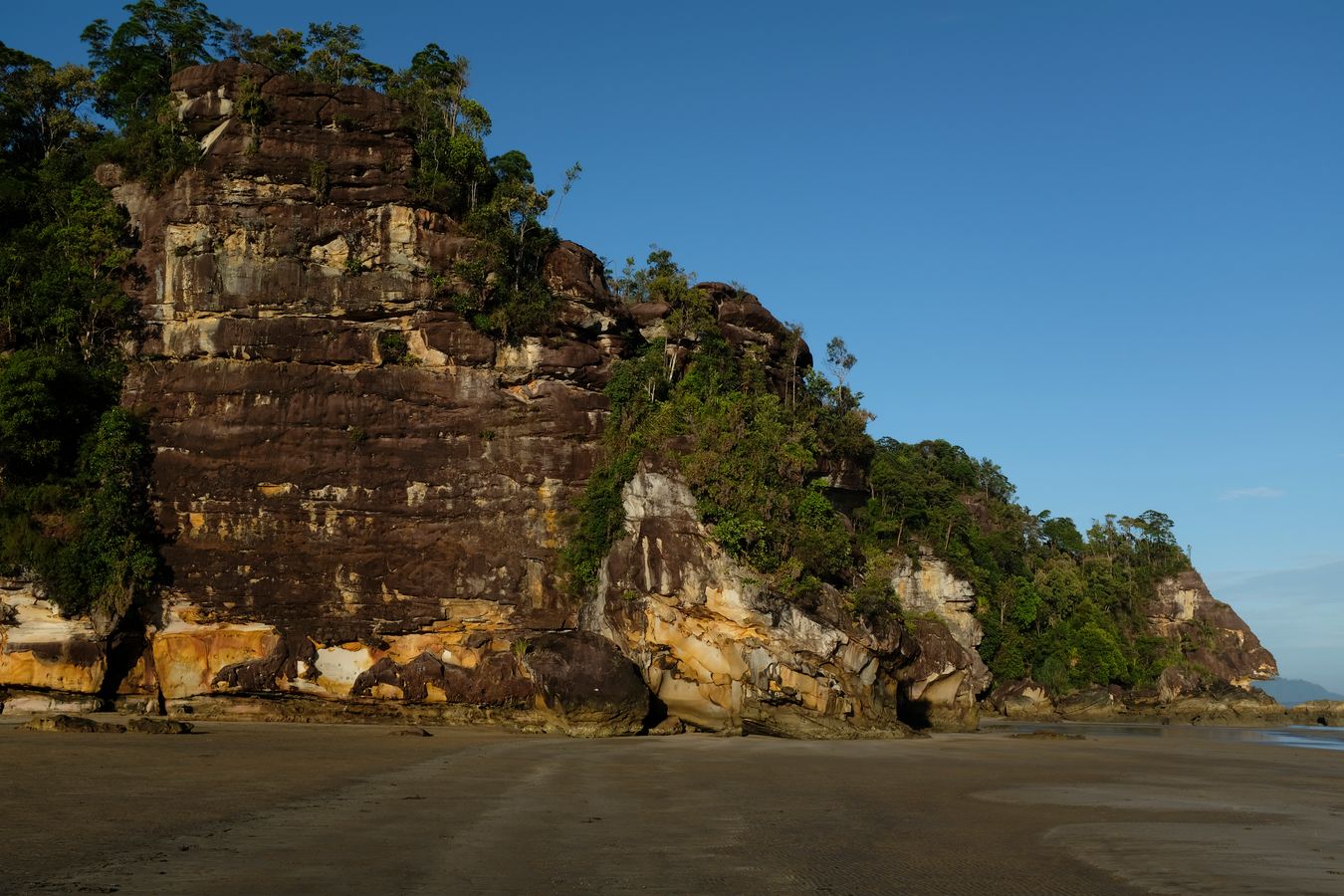 Cliff Vegetation and landscape