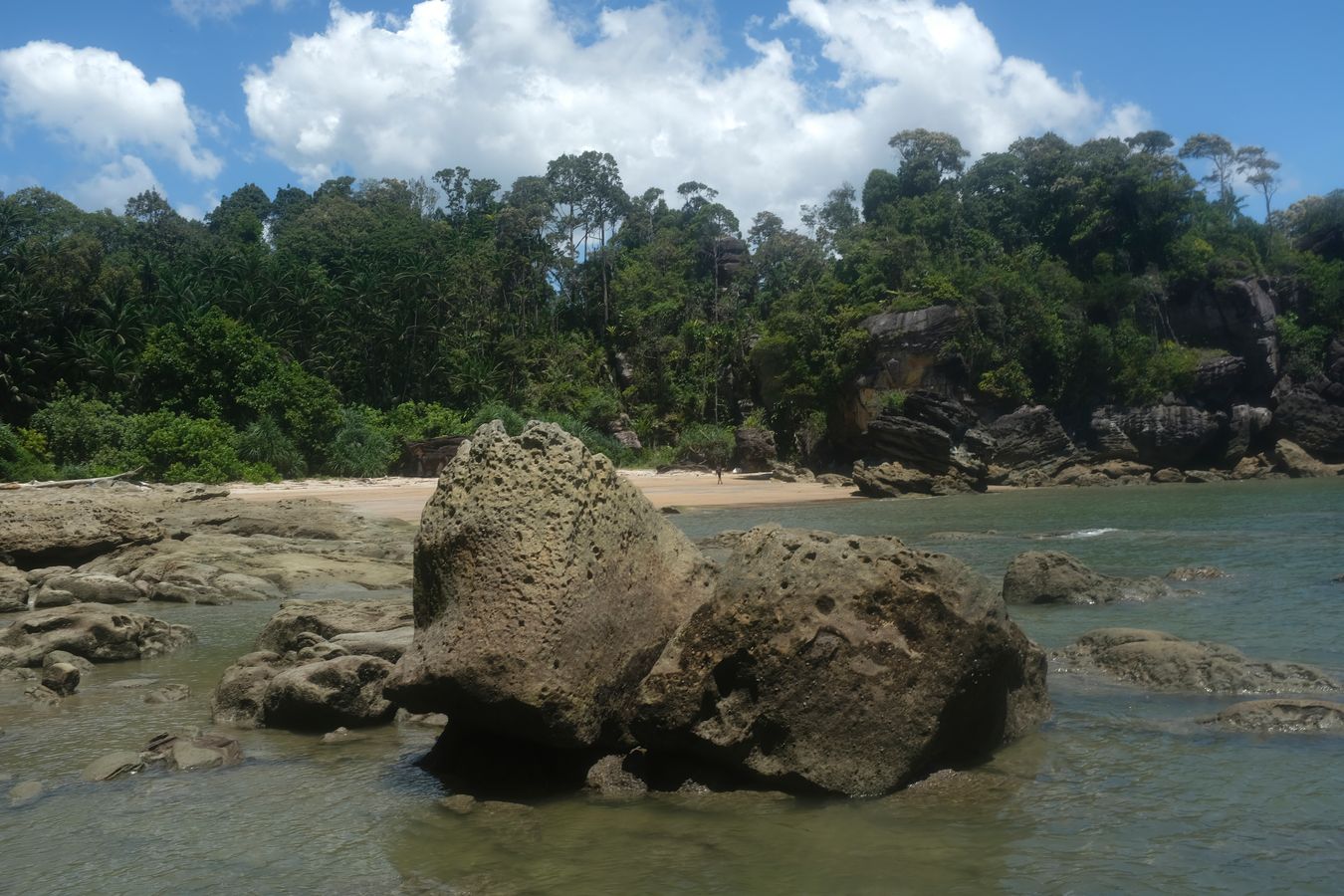 Beach Landscape