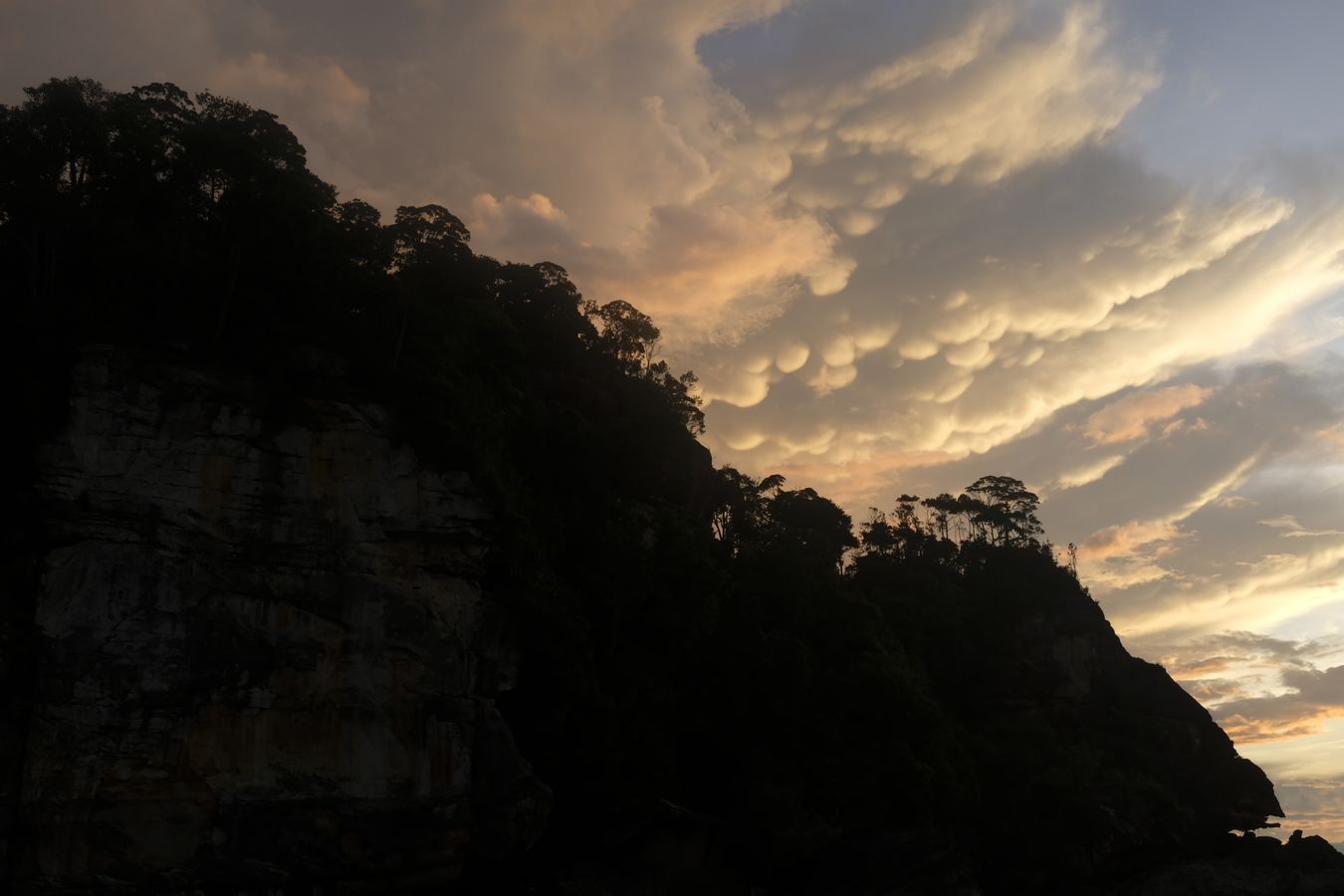 Cliff Vegetation and Sunset Landscape