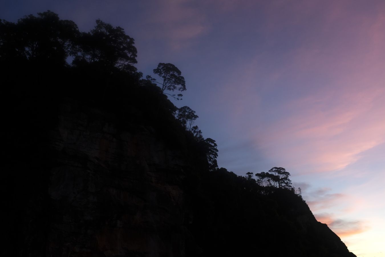 Cliff Vegetation and Landscape at Sunset 