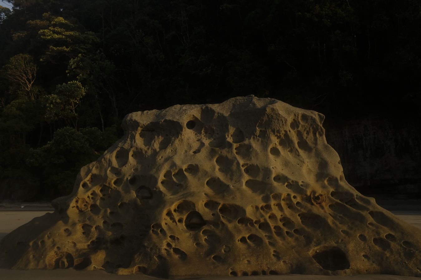 Honeycomb Weathering on a Rock on the Beach