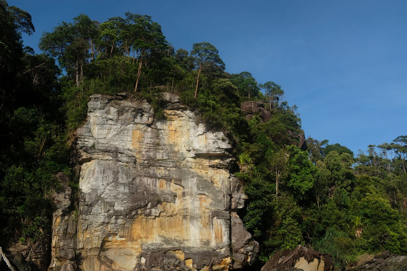 Cliff Vegetation and Landscape