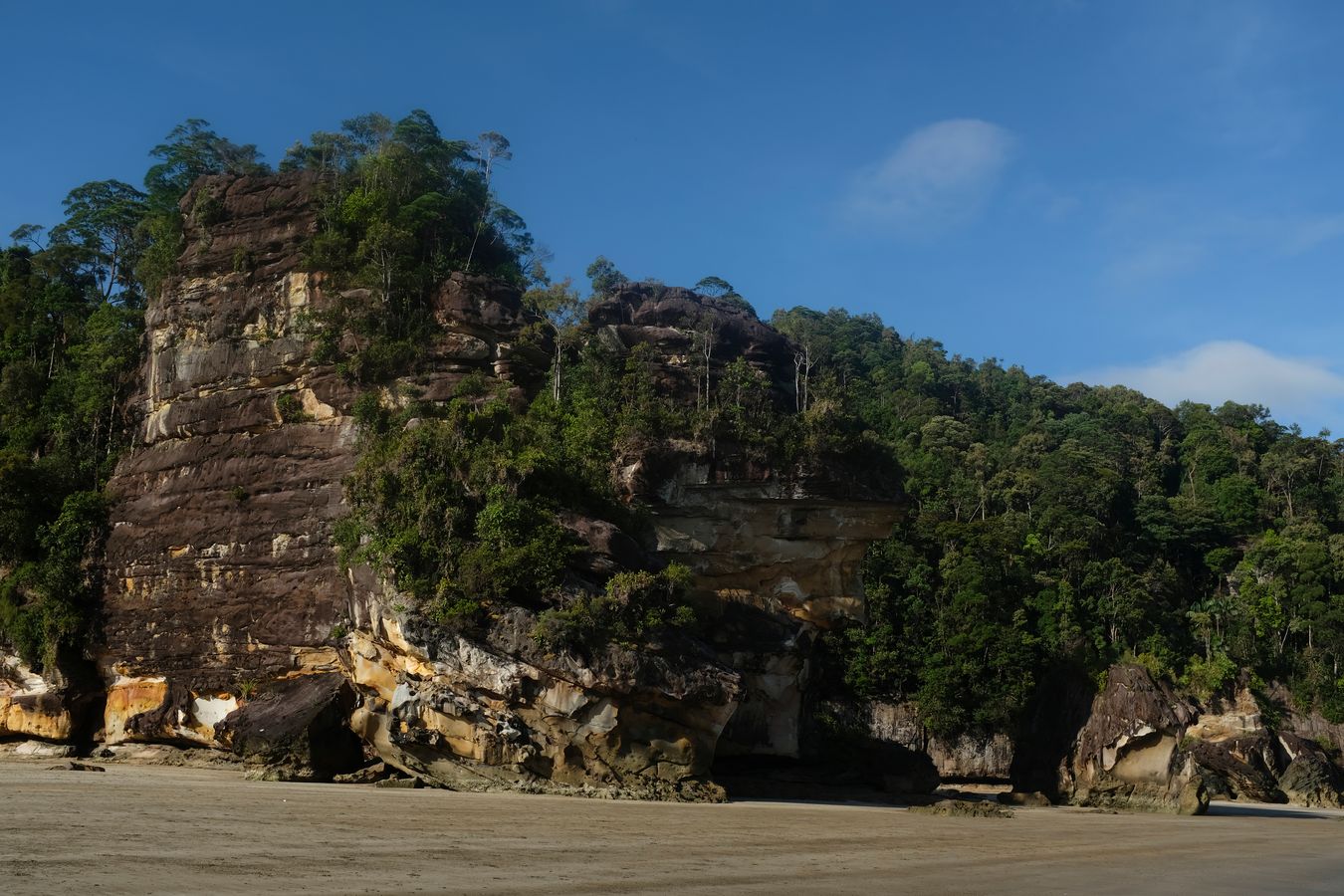 Cliff Vegetation and Landscape