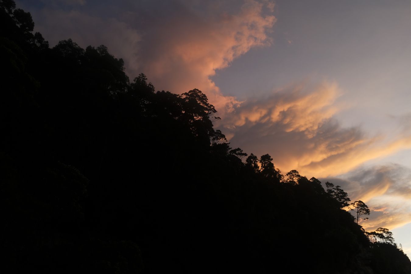 Cliff Vegetation and Sunset Landscape