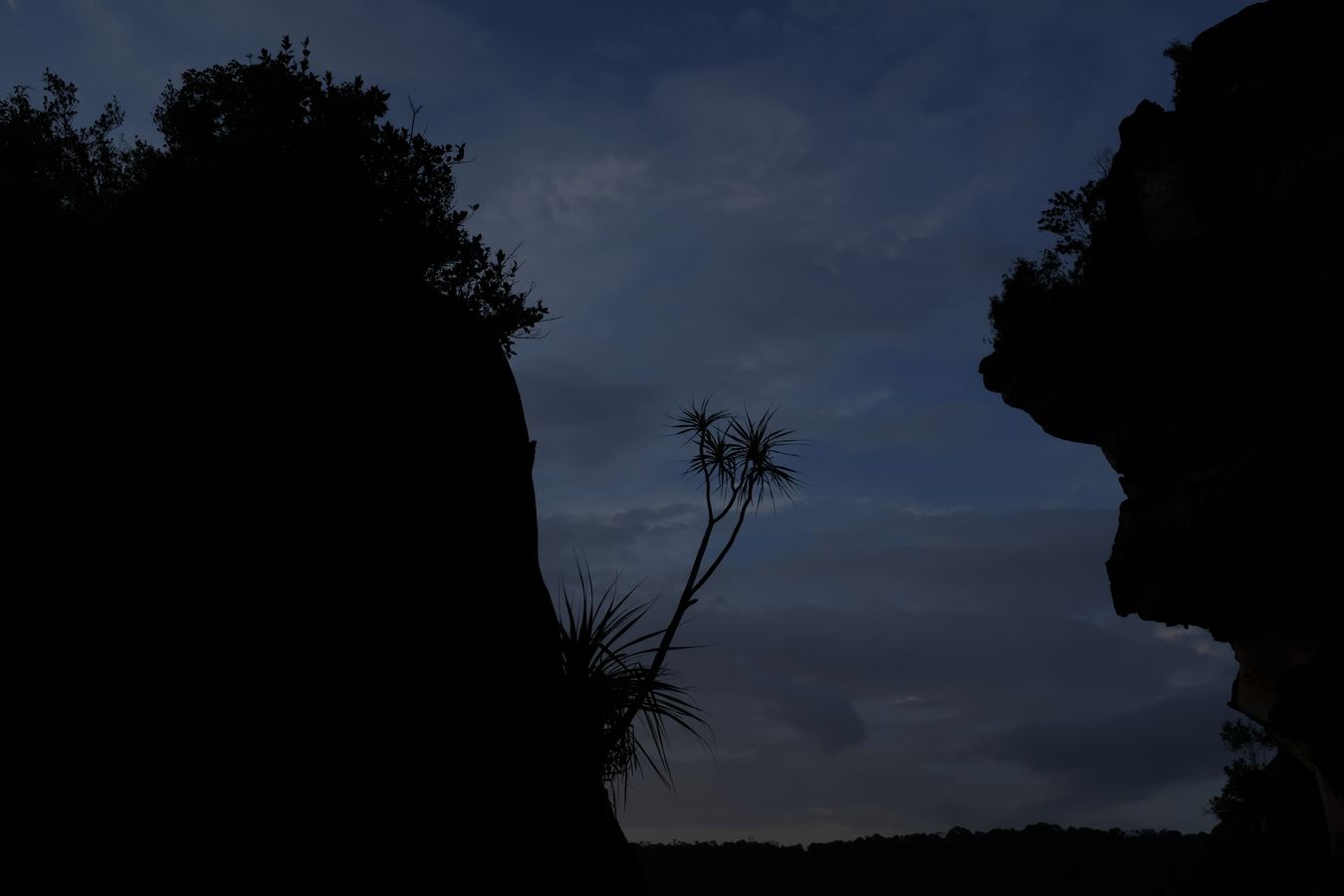 Cliff Vegetation and landscape