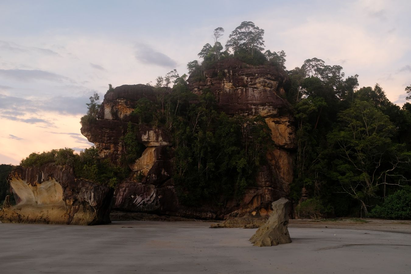 Cliff Vegetation and Ladscape