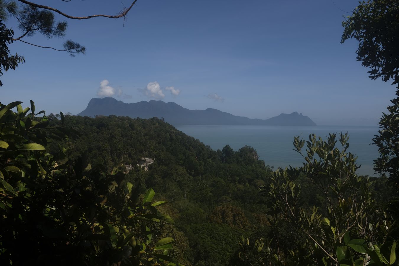 Rainforest Landscape and Santubong Mountain View