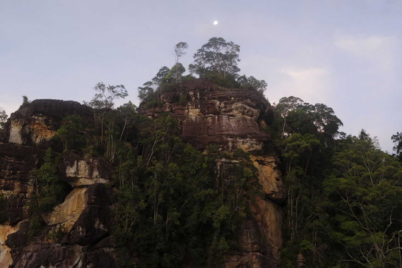 Cliff Vegetation and Landscape