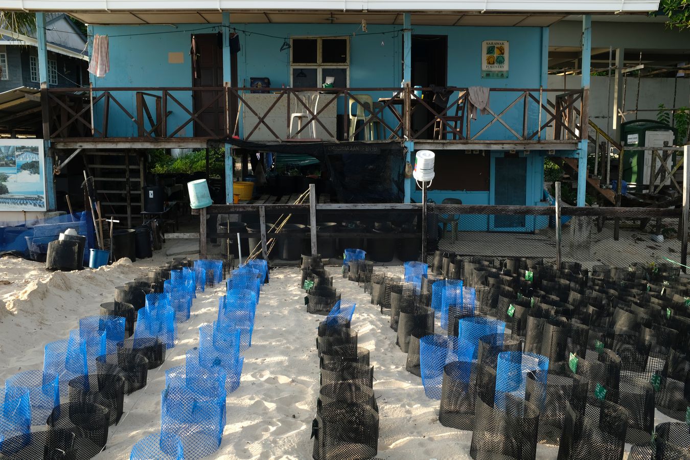 View of the sea turtle hatchery and the rangers house.