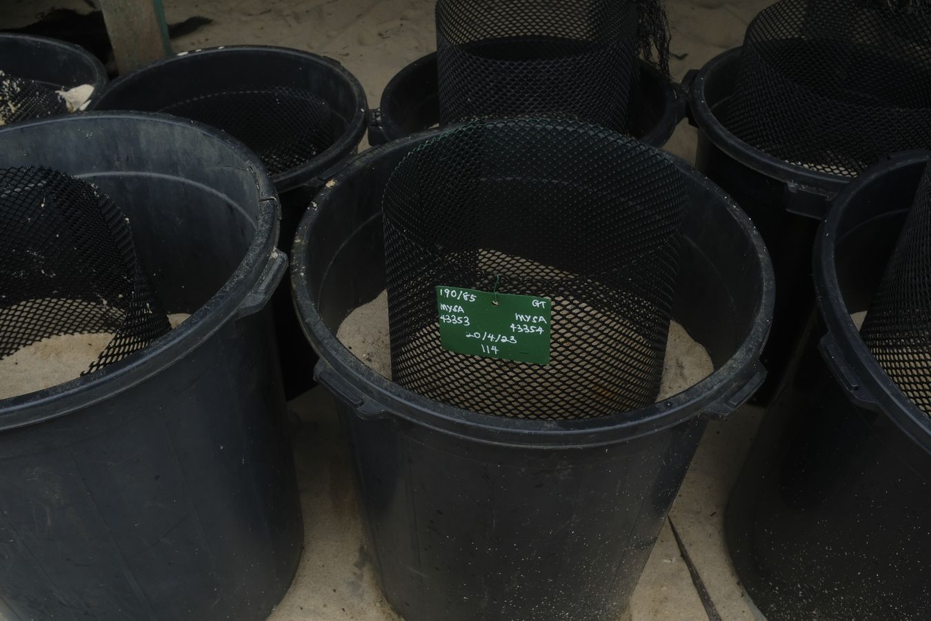 Large cubes used as nest in the hatchery for sea turtle eggs in the rainy season, when the high tide covers the entire beach.