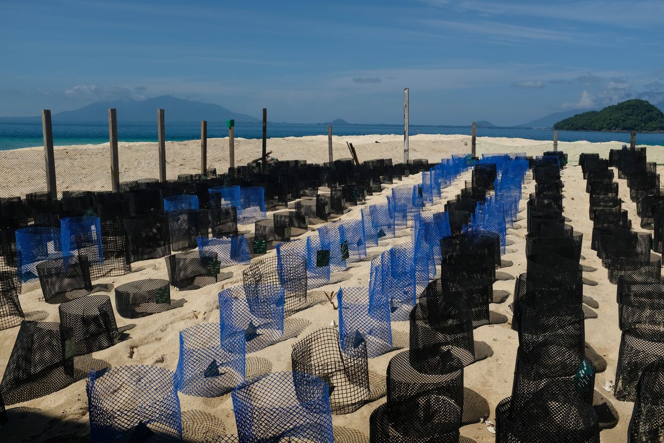 General view of the sea turtle hatchery. 