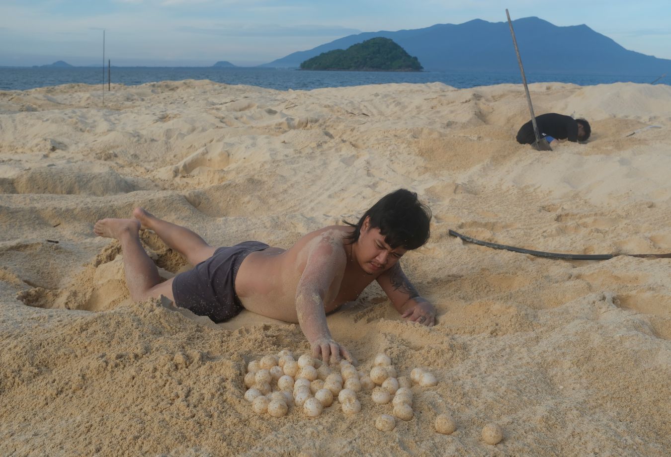 Early morning ranger Chris removes sea turtle eggs from their nest, Pueh Mountain in the background.