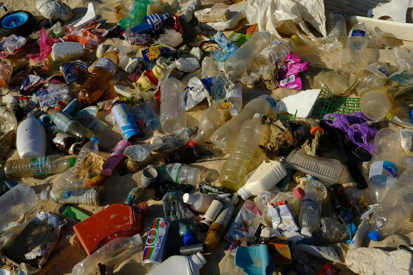 Partial view of the garbage collected on the beach by the author.