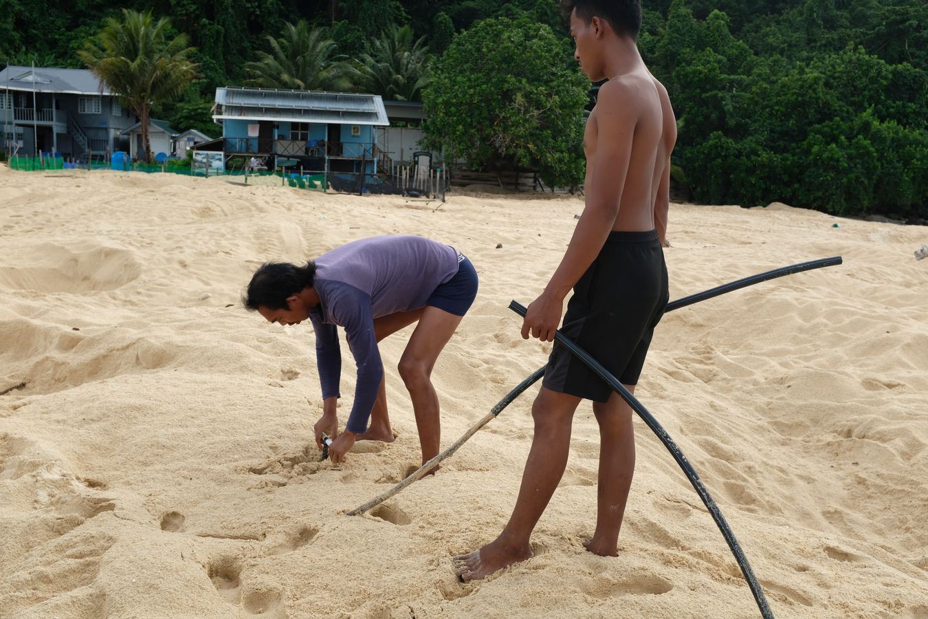 Early in the morning a ranger uses the tool to find the exact location of the sea turtle nest, while his assistant watches and waits with plastic tubes to mark the nest once it is found. 