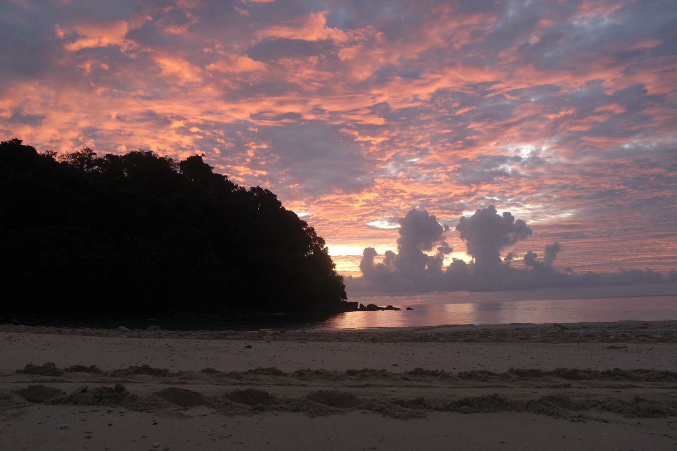 Sea turtle footprints at sunrise.