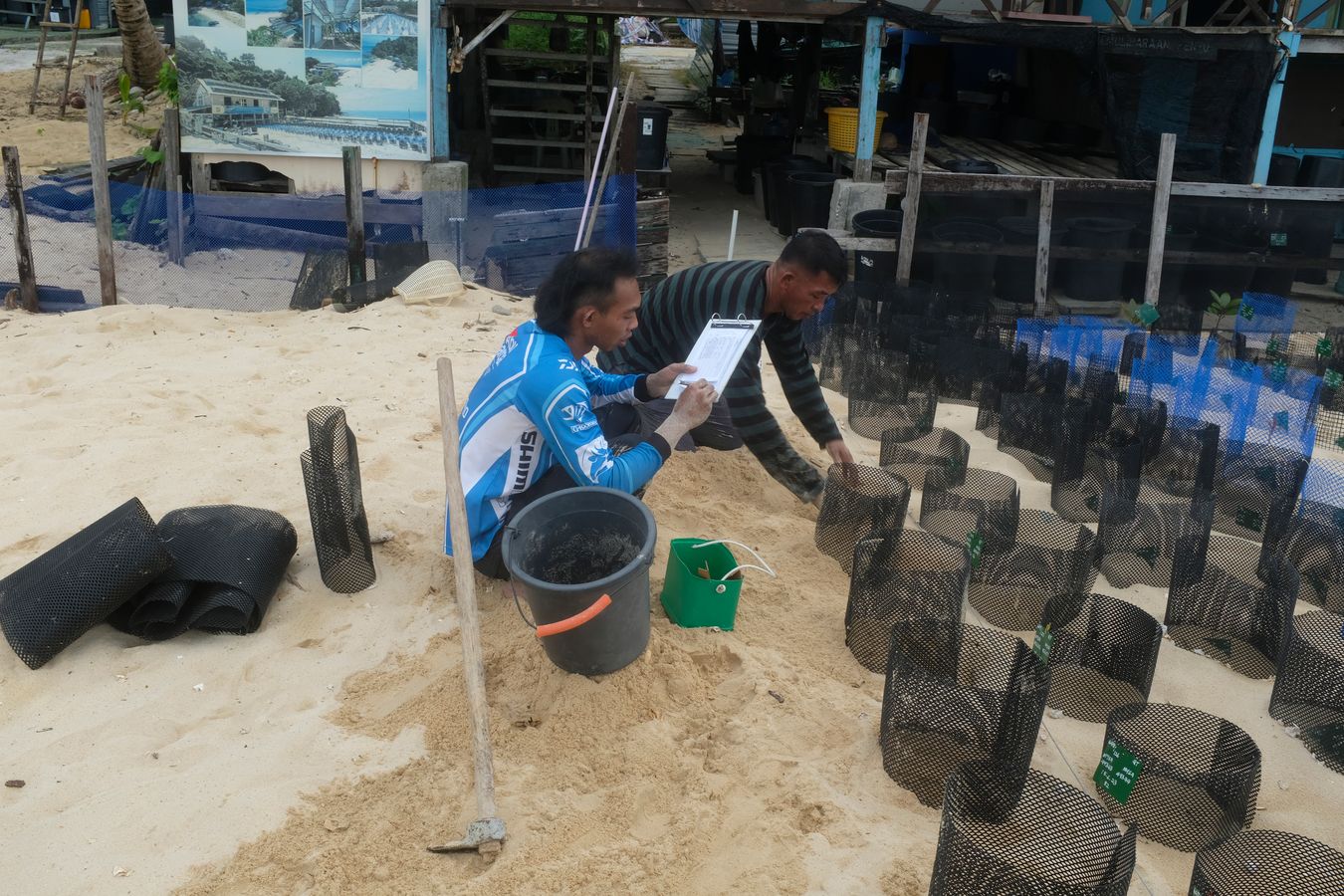 Rangers deposit and record sea turtle eggs at the hatchery.