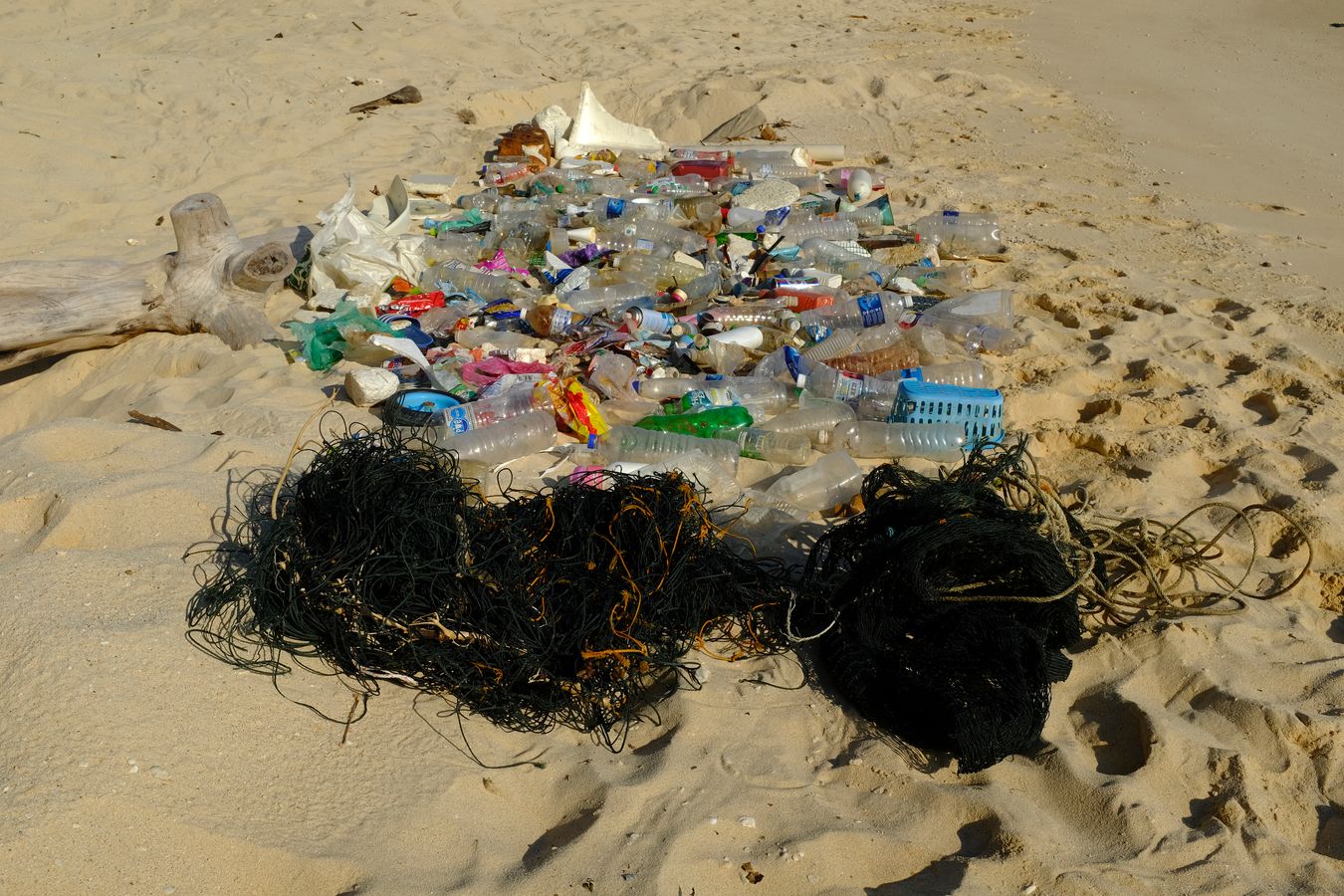 Of all the debris accumulated on the beach, the most harmful and dangerous for sea turtle are undoubtedly the old fishing nets.