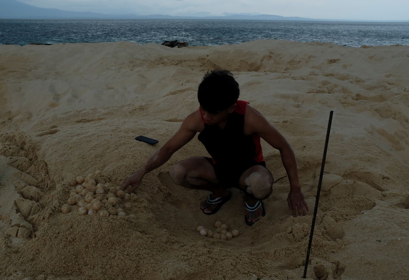 Early in the morning, Aidil, controller of the LPP, collects sea turtle eggs to transport them to the hatchery.