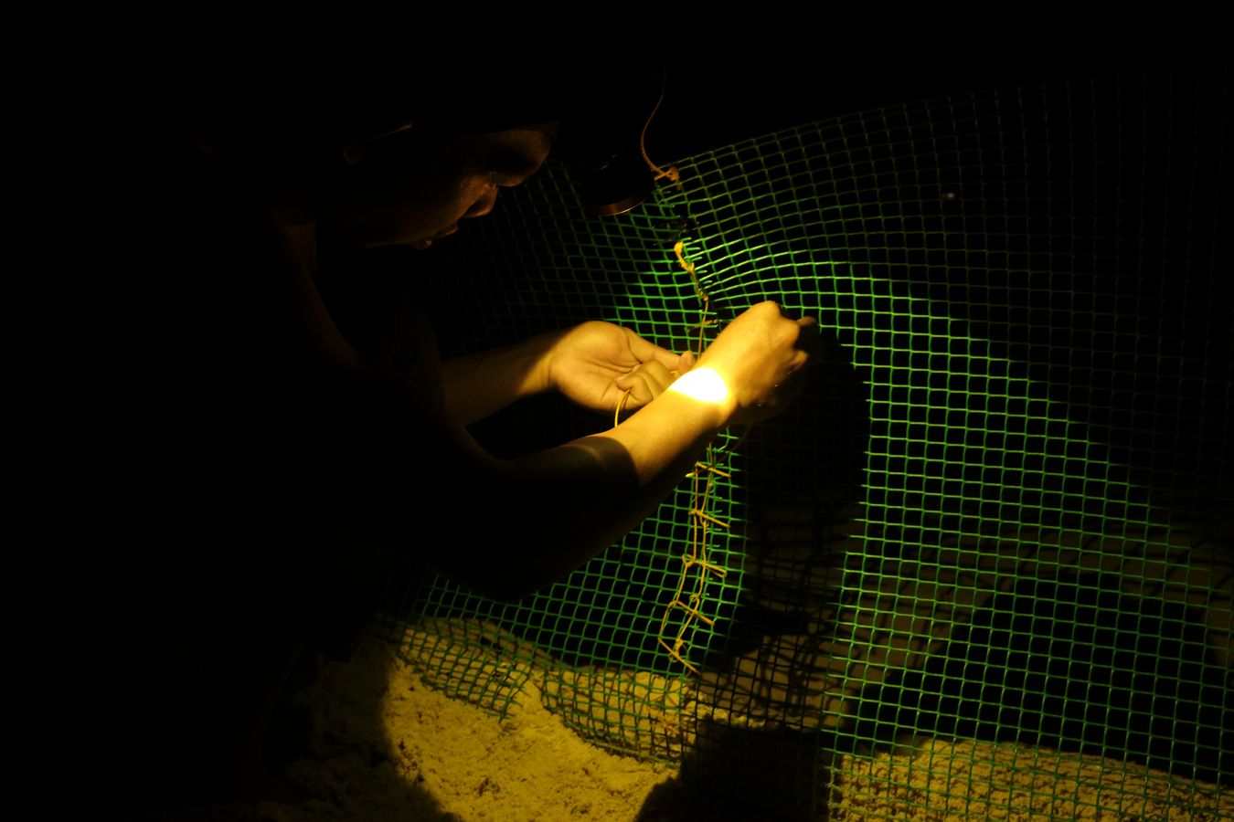 At night, a ranger repairs the net of the sea turtle hatchery.