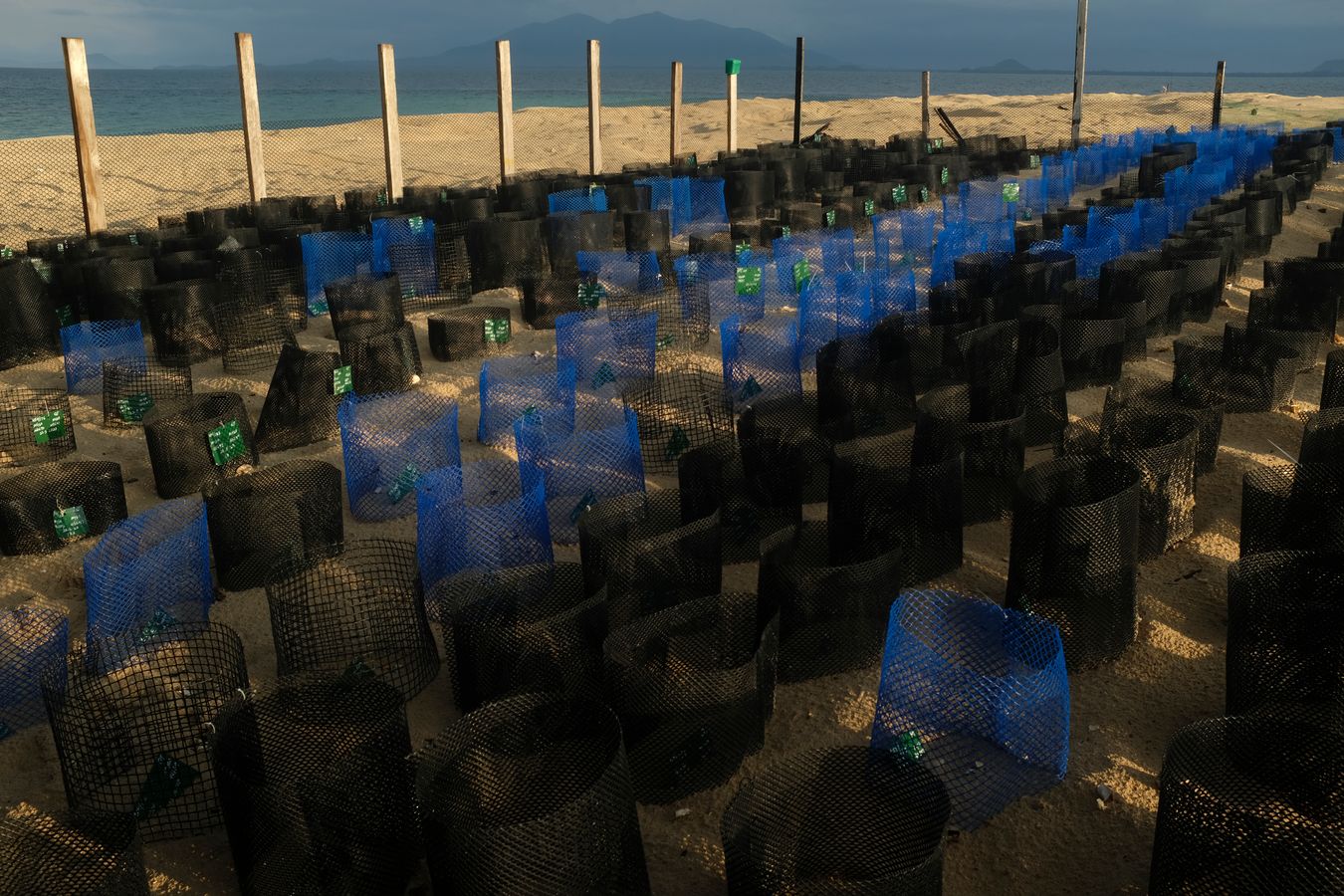 View of the sea turtle hatchery with the Gading mountain in the background.