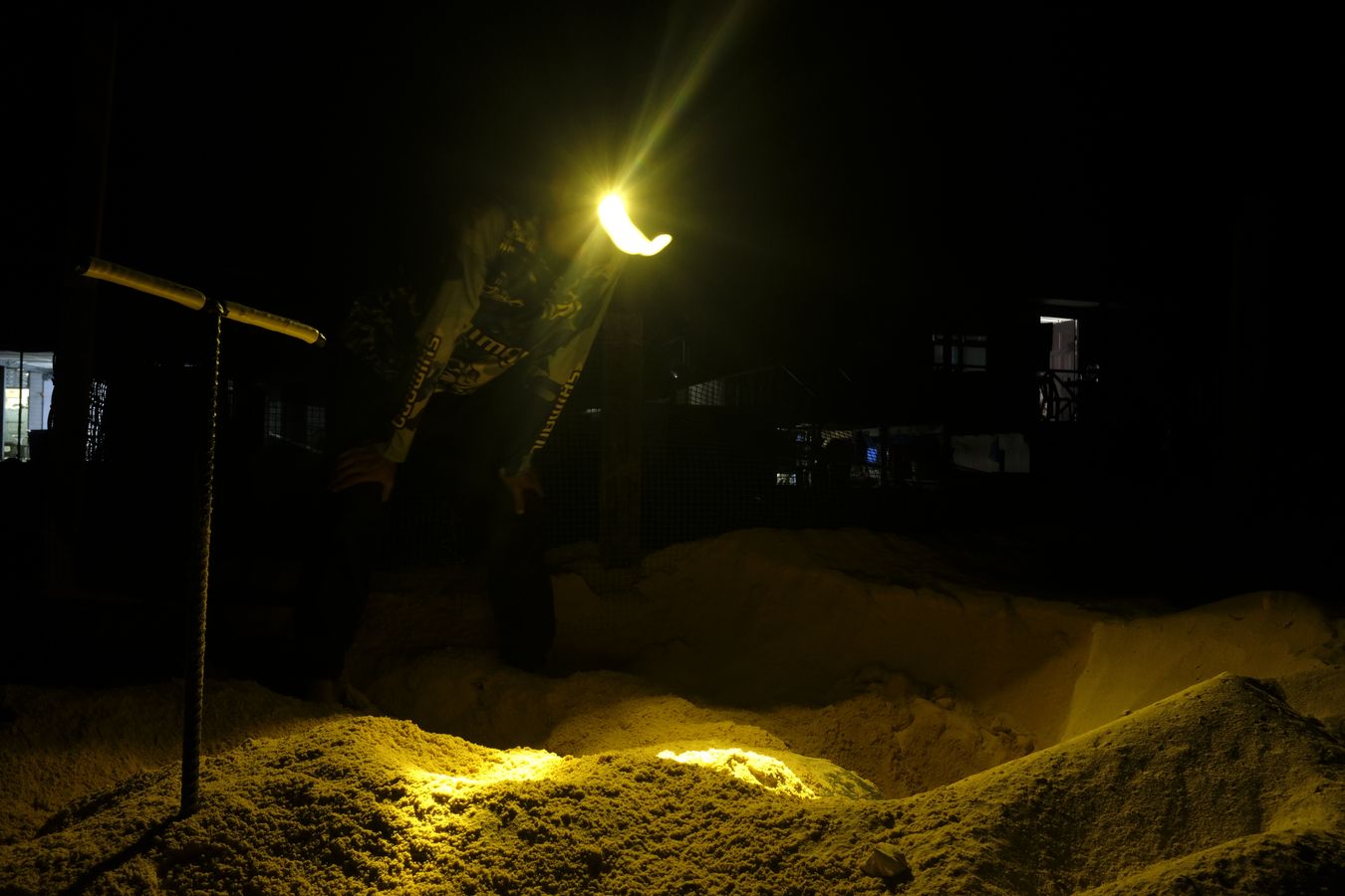 Ranger observes a green turtle laying its eggs on the beach.