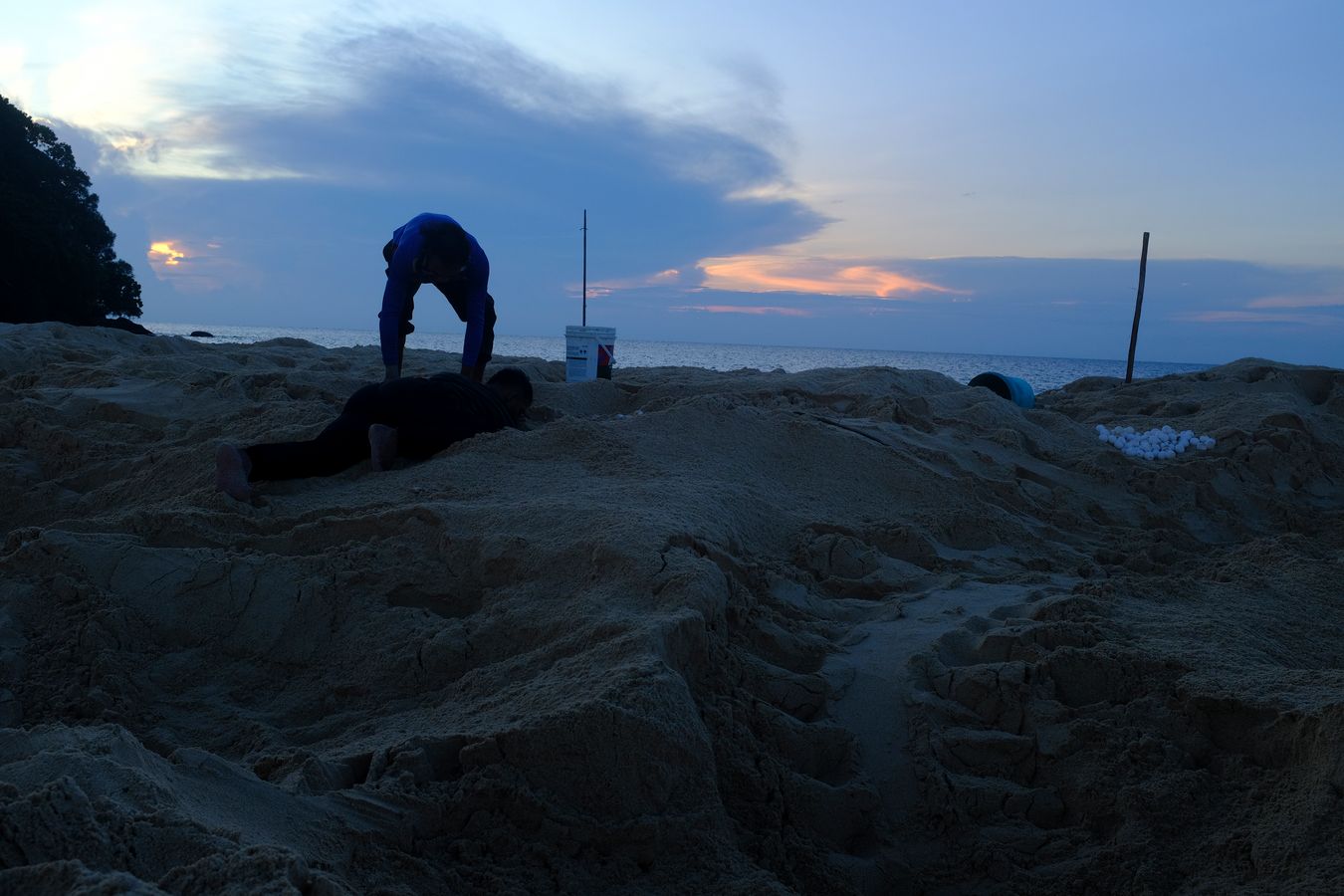 At sunset two rangers collect sea turtle eggs in various nests.