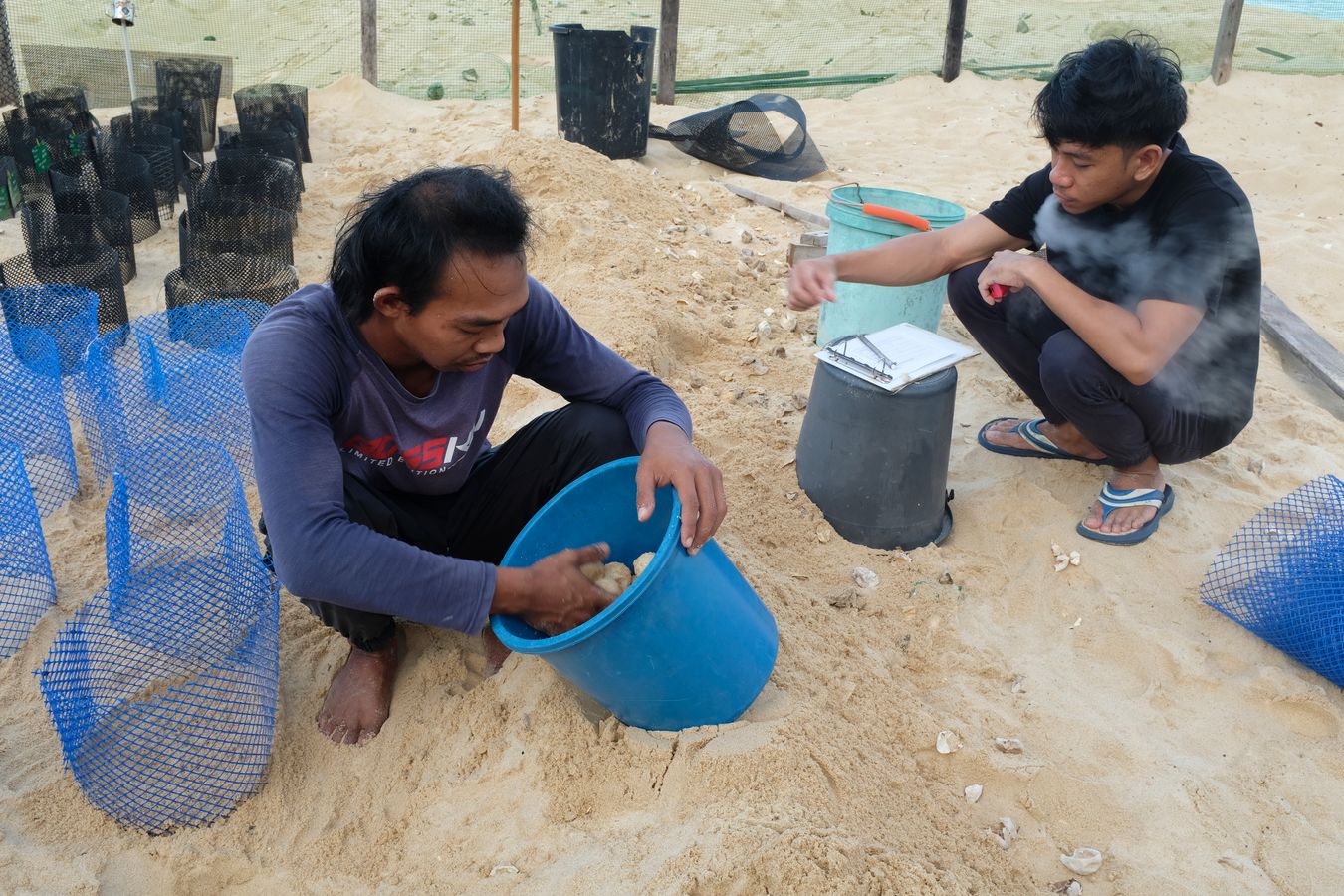 Aidil writes down the eggs collected as indicated by the ranger.