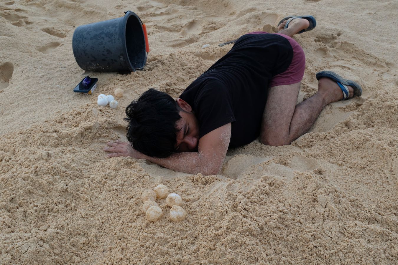 Aidil removes sea turtles eggs from their nest to transfer them to the hatchery.