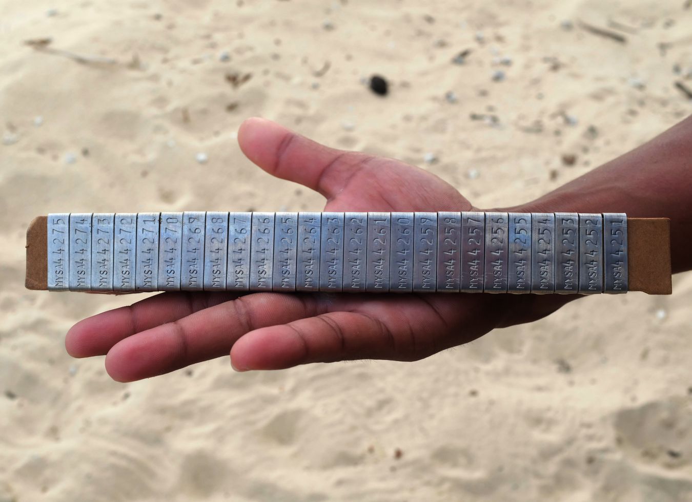 Metal plates with control and tracking number that will be inserted in the front flippers of sea turtles. 