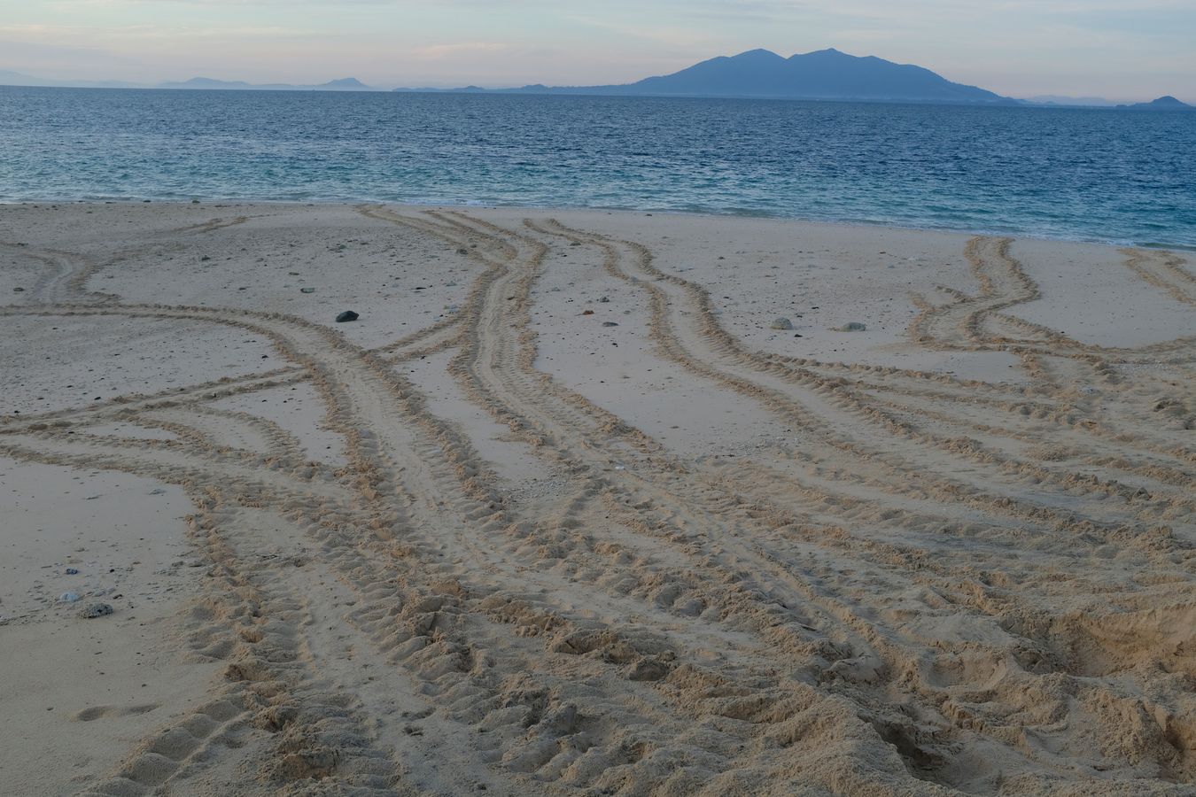 Footprints in the sand of a sea turtle on its return to the ocean, with Gading Mountain in the background.