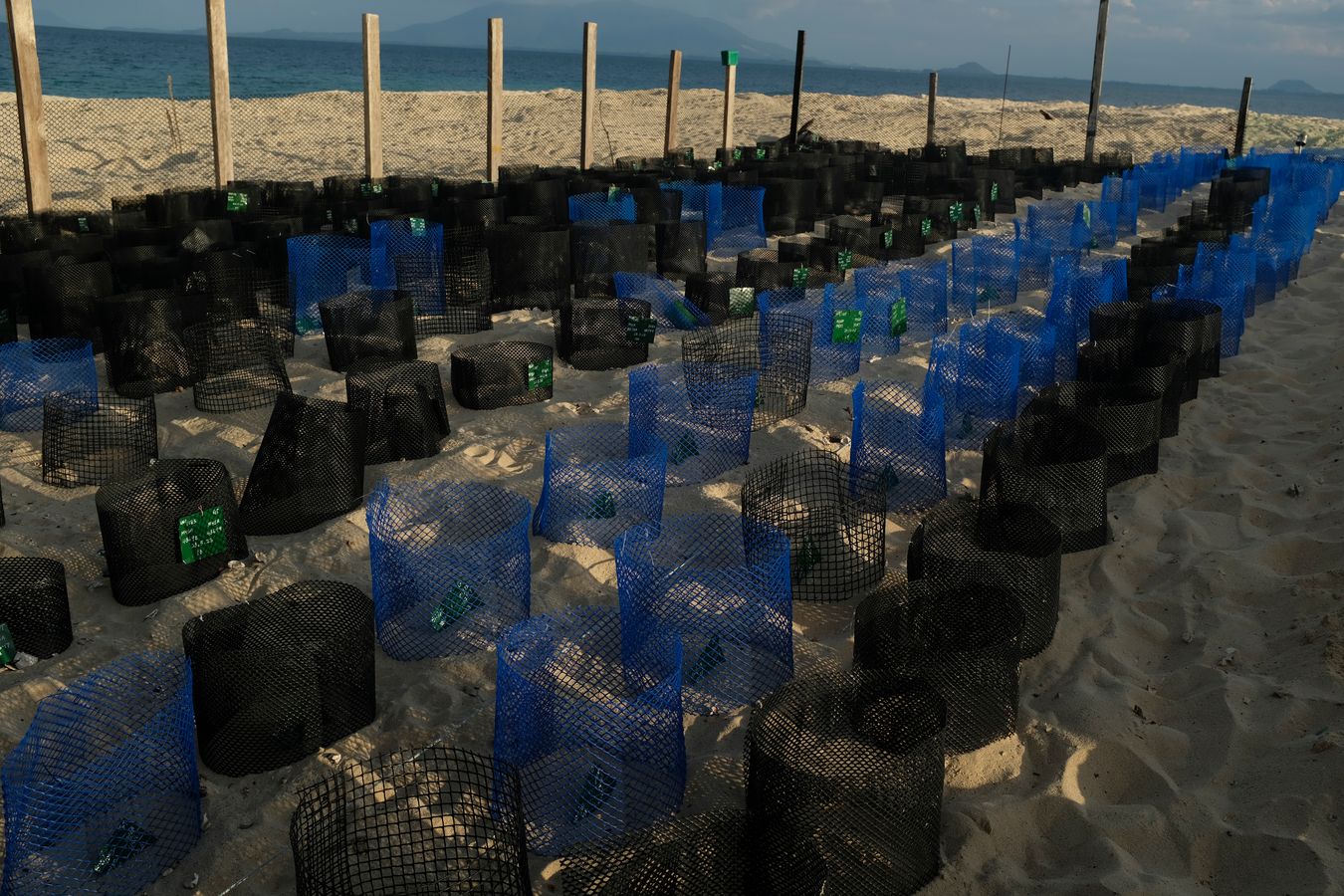 A view of the individual nests at the sea turtle hatchery at sunset.