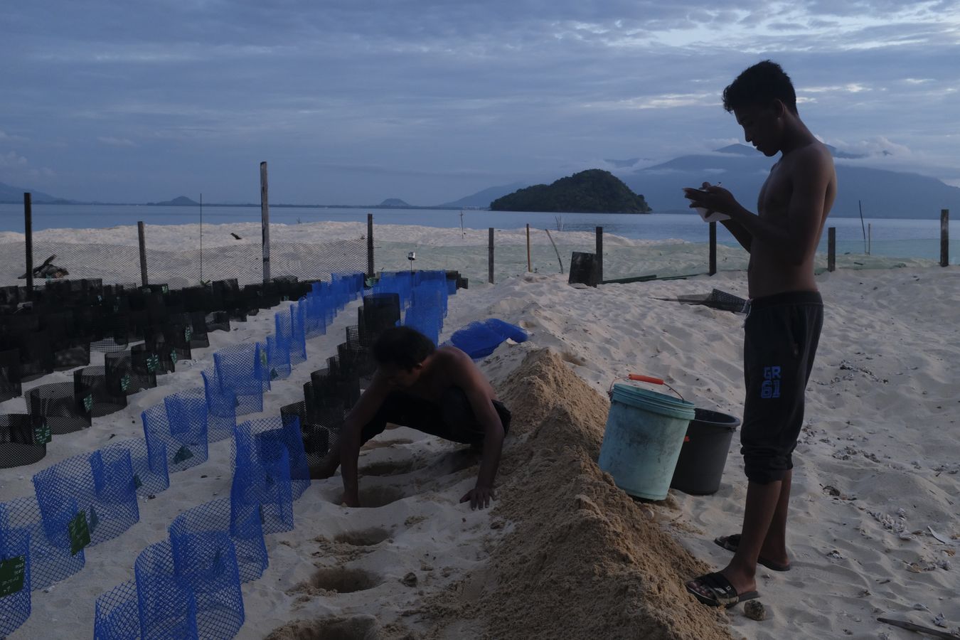 Ranger places green turtles eggs in their new hatchery nests while his assistant records the number of eggs in each nest.