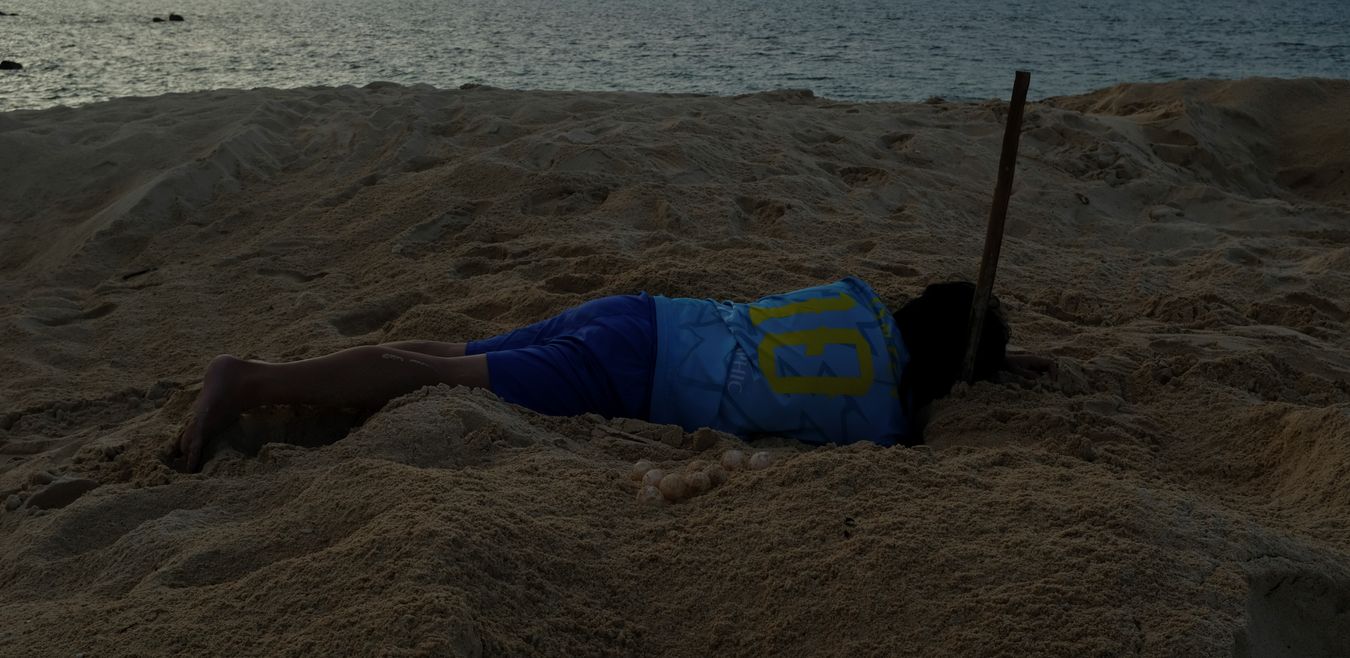 Ranger Chris removing sea turtle eggs from a deep nest.