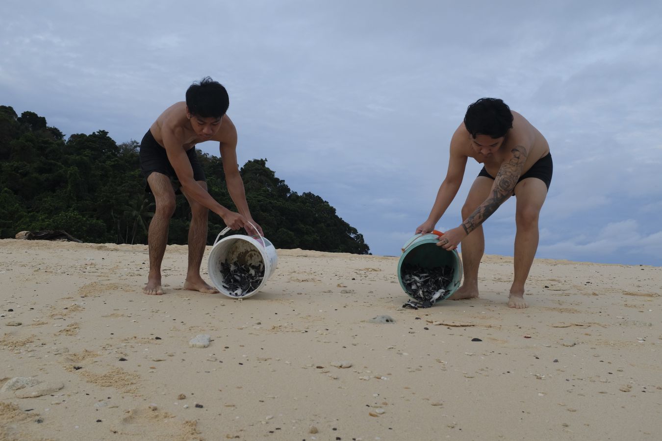 Chris and Aidil release dozens of green turtles hatched that day. 