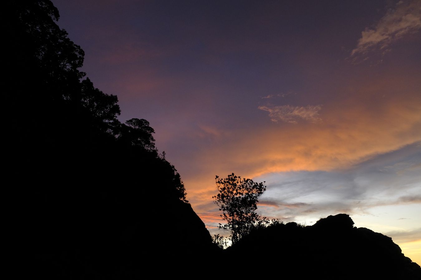 Cliff Vegetation-Landscape