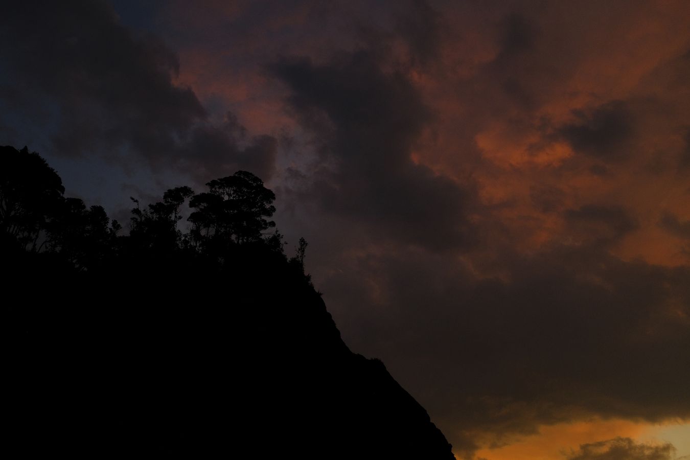 Cliff Vegetation-Landscape