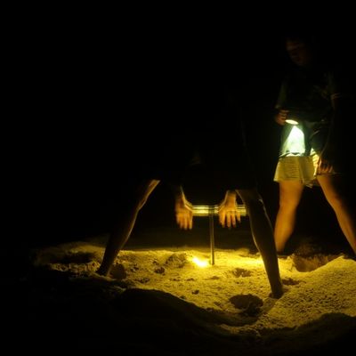 At night rangers using the tool in search of the exact location of the sea turtle nest.