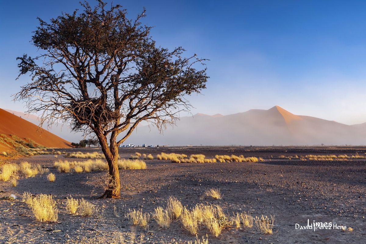 Desierto del Namib, Namibia