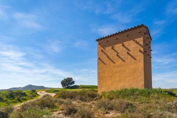 Campos de Balaguer 2019