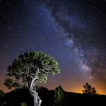 Ginebre de Ginero