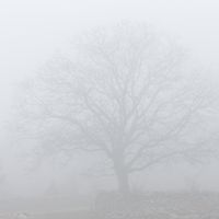L'Anoer de la Caseta de Pau 