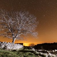 L'Anoer de la Caseta de Pau 