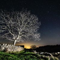 L'Anoer de la Caseta de Pau